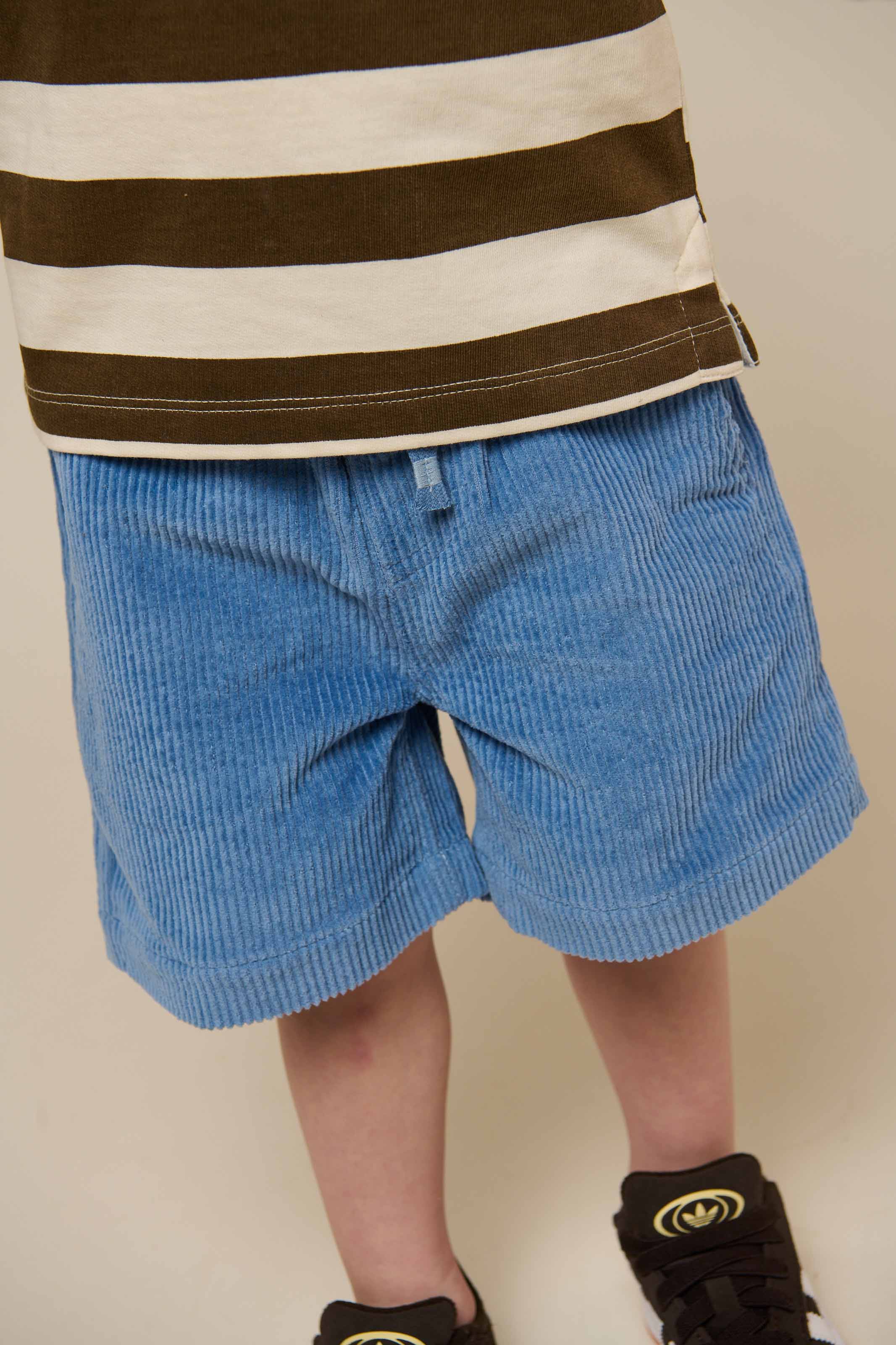 Pull-On Ribfluwelen Shorts - Kids - Dusty Blue | 101100 Tobias - Image 5