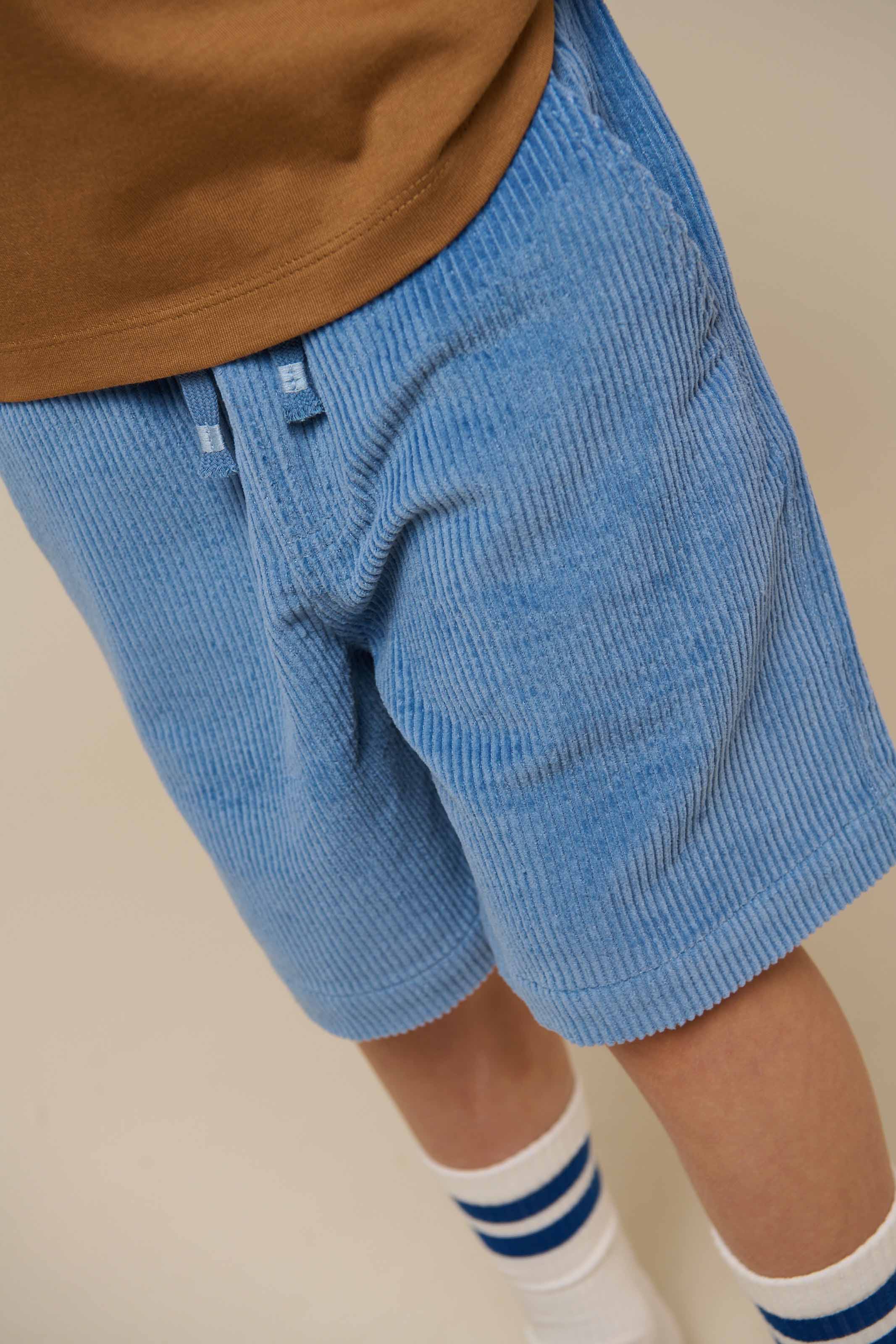Pull-On Ribfluwelen Shorts - Tween - Dusty Blue | 101101 Tobias - Image 5