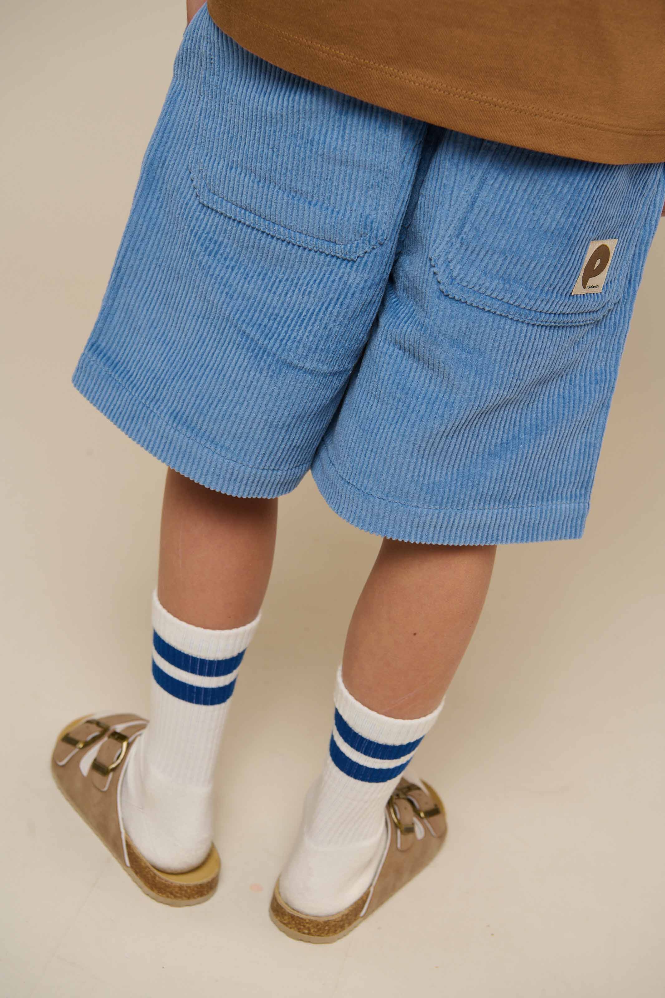Pull-On Ribfluwelen Shorts - Tween - Dusty Blue | 101101 Tobias - Image 6